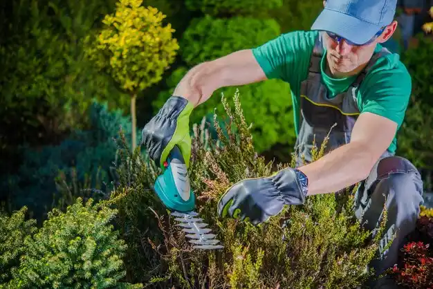 landscaping services Falls City